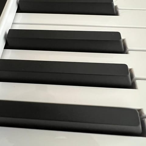 A Fifth of Mozart cover art