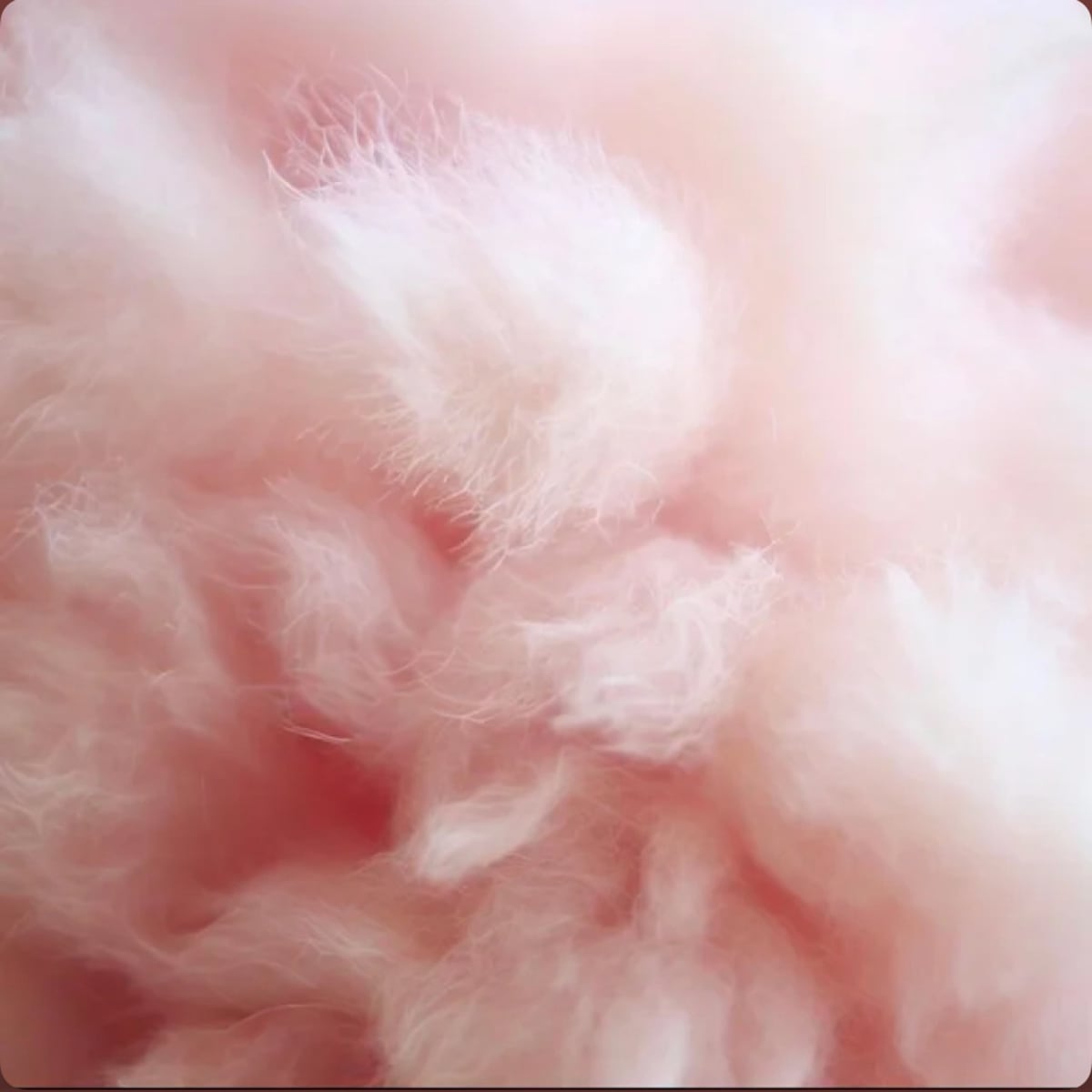 Fluffy cover art
